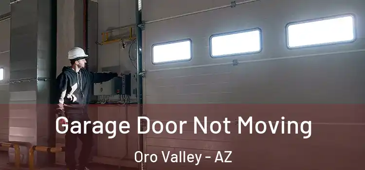  Garage Door Not Moving Oro Valley - AZ