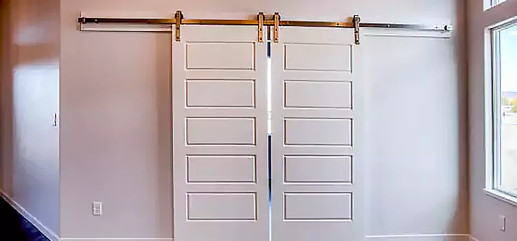 Glass Barn Door with Installation Hardware Kit Oro Valley