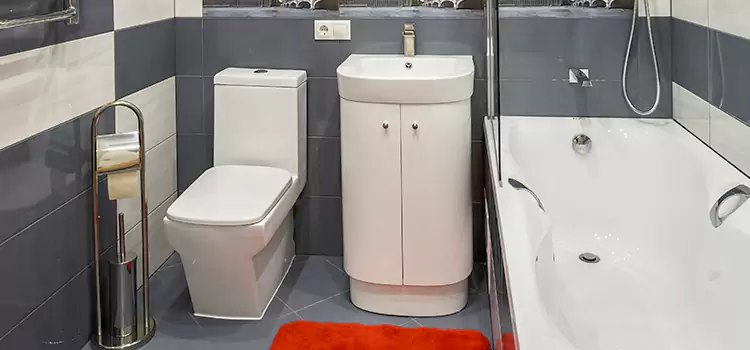 Hansgrohe Shaving Mirror Oro Valley